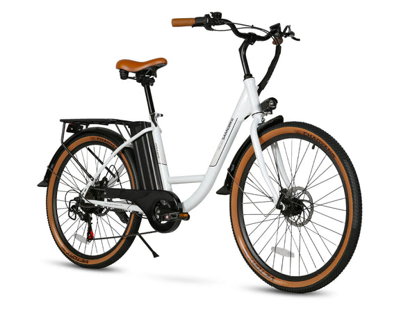 SAMEBIKE TDE10Z
