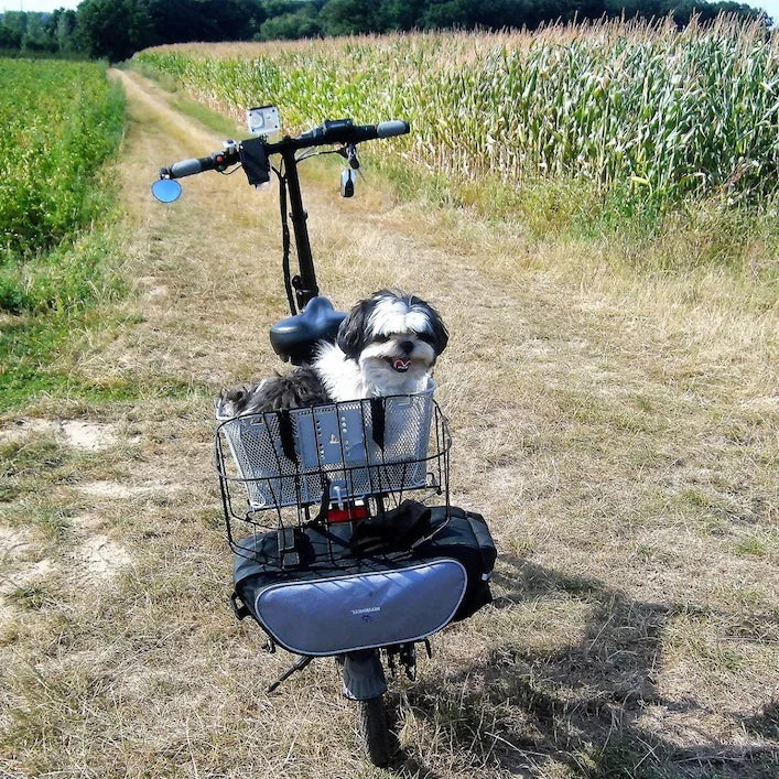 Aventure