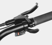 SAMEBIKE M20 — détail 7