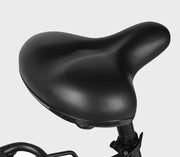 SAMEBIKE RS-A01 Plus — détail 3