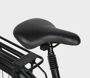 SAMEBIKE RS-A01 Pro — détail 2