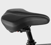SAMEBIKE LO26 Plus — détail 5