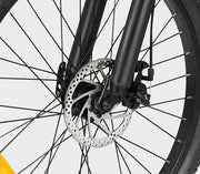SAMEBIKE EBE2 — vue 6
