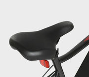 SAMEBIKE EBE2 — détail 5