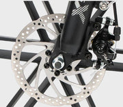 SAMEBIKE 20LVXD30 — détail 2