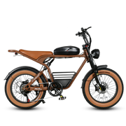 SAMEBIKE M20 — vue 4