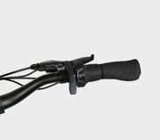 SAMEBIKE RS-A01 Pro — détail 3
