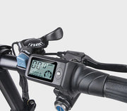 SAMEBIKE 20LVXD30 — détail 4