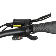 SAMEBIKE CREST — vue 18
