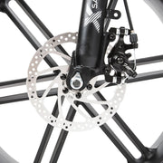 SAMEBIKE XWLX09 — détail 2