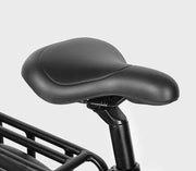 SAMEBIKE RS-A02 — détail 5