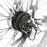 SAMEBIKE RS-A07 — détail 1