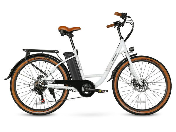 SAMEBIKE TDE10Z
